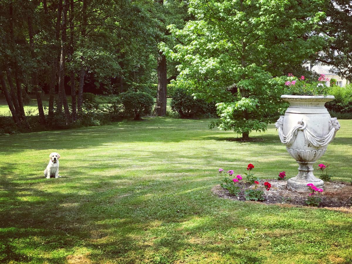 Chambre D'Hote Manoir De Clairbois Larcay Bagian luar foto